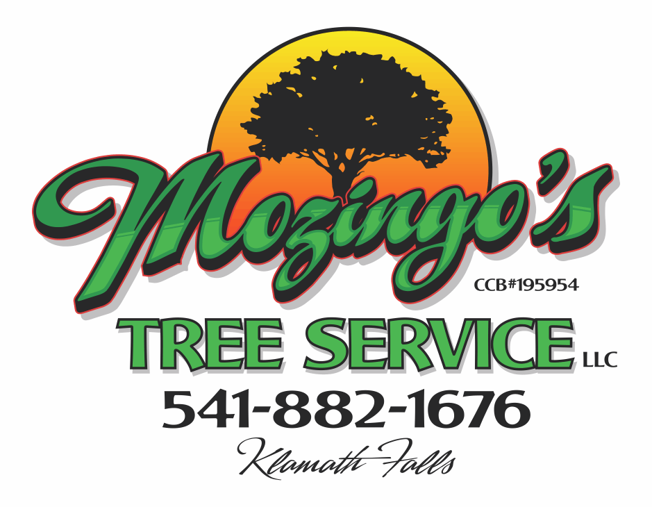 Mozingos tree service logo 541-882-1676